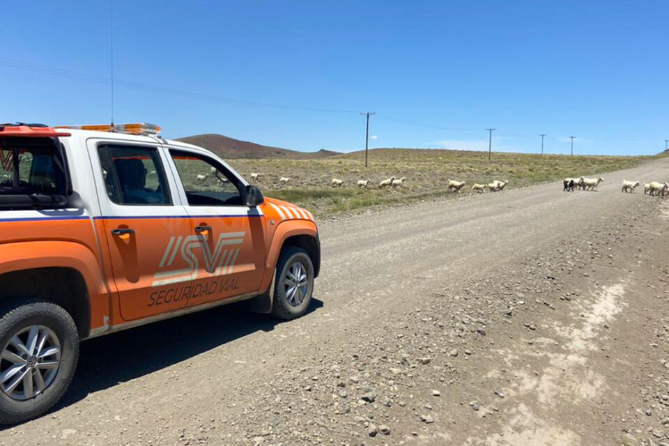 M S De Veh Culos Por Hora Circularon En Las Rutas Neuquinas Por El